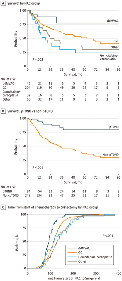 216期（印刷版）-33.jpg