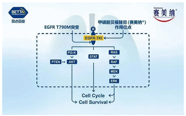 329-330期(完成)-23.jpg 329-330期(完成)-23.jpg