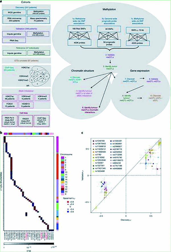 337-338期（完成）-56.jpg
