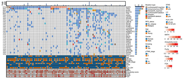 377-378期(完成)-11.jpg 377-378期(完成)-11.jpg