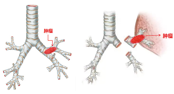 391-392期（完成）-11-.jpg