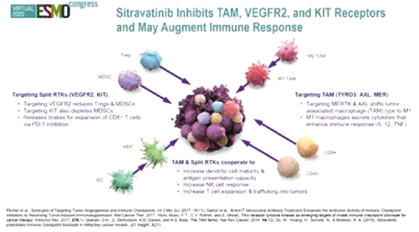 检查点抑制剂失败的非鳞状NSCLC Sitravatinib联合纳武利尤单抗安全有效