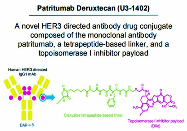 EGFR突变的NSCLC 后线HER3-DXd每3周一次方案安全有效