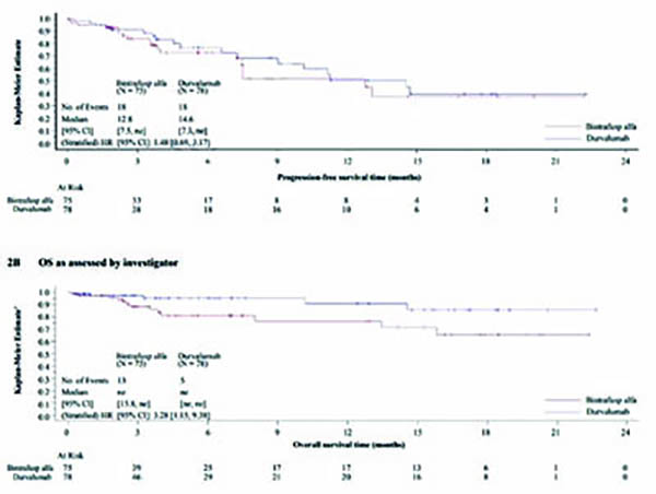 不可切除的Ⅲ期NSCLC cCRT中联合Bintrafusp alfa不优于联合度伐利尤单抗